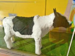 -乐友孕婴童(刘家窑店)