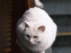 -杭州上天竺法喜讲寺