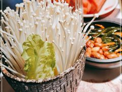-九鼎轩脆毛肚火锅(三钢里店)