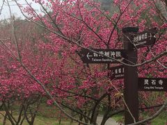 -福清灵石山国家森林公园