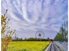 -兰陵国家农业公园