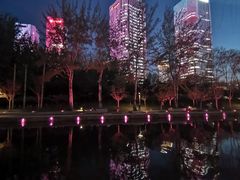 -大望京公园