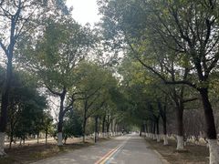 -南湖湿地公园