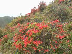 -广东天露山旅游度假区