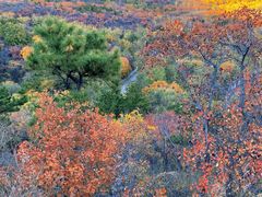 -北京西山国家森林公园