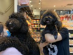 -萌兽医馆·眼科·异宠专科(三里屯店)