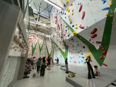 -绿壁虎攀岩基地(Tcar店)