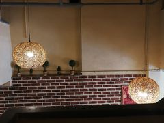 -猫友咖啡店(玉林西路店)