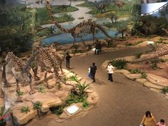 -自贡恐龙博物馆