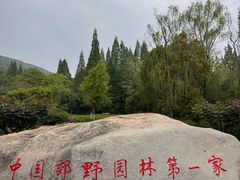 -习家池