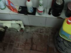 -一楼食业·美食人家