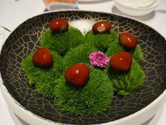 -鹿园 MOOSE(长宁店)