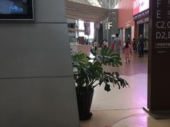 -上海市第一人民医院(松江南部)