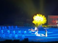 -鼎盛王朝康熙大典实景演出