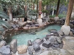 -张家港金凤凰度假村温泉