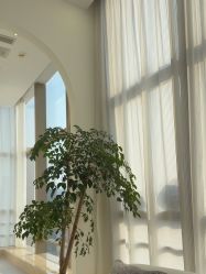 -JNK皮肤管理中心