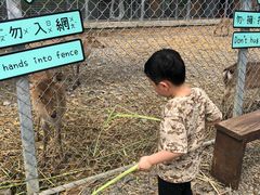 -鹿境梅花鹿生态园区