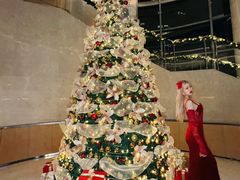 -Plush大堂酒廊(北京金融街威斯汀大酒店)