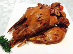 -金蝉食府(维吉奥广场店)