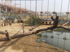 -河北村民俗体验园
