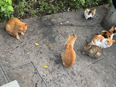 -敬亭山风景名胜区