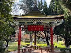 -云南师范大学(一二一西南联大校区)