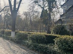 -山东大学(趵突泉校区)
