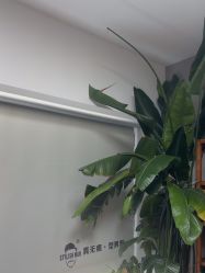 -型男帮男士假发补发·佩戴式发型