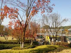 -铁山坪森林公园