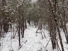 -定都阁