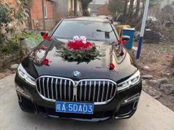 -蚂蚁婚车