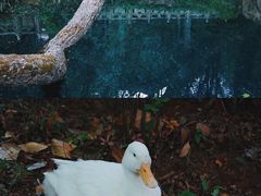 -蝴蝶泉公园