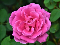 -野鸭湖国家湿地公园