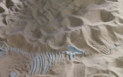 -恐龙探索乐园(磁器口店)