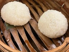 茨毛圆子-双塔老饭店