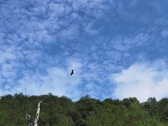 -宁波五龙潭景区