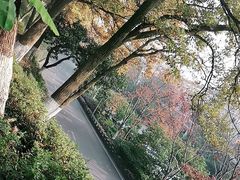 -上海市保健医疗中心