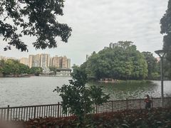 -荔湾湖公园