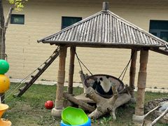 -石家庄市动物园