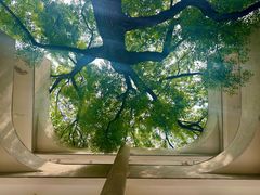 -湖北美术学院(昙华林校区)