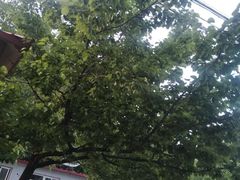 -荣德灶台鱼(圣泉寺店)