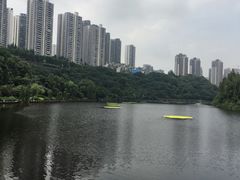 -重庆彩云湖湿地公园