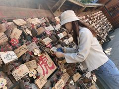 -龙口南山旅游景区