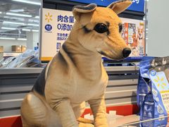 -沃尔玛(平阳鳌江店)