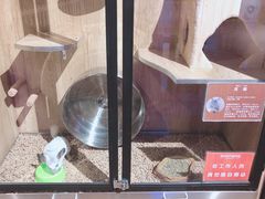 -zoonana室内动物园(东方福来德店)