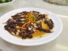 -新湛拱(兰埔路店)