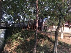 -南京市无想山景区