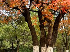 -艾溪湖湿地公园