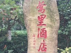 -杭州西湖柳莺里酒店