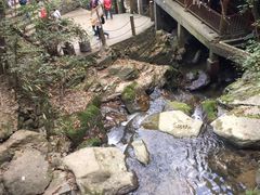 -藏龙百瀑风景区